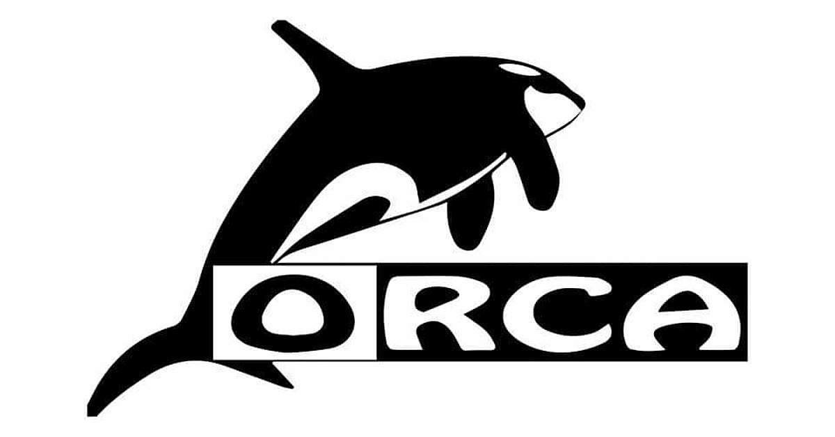  Crazy July Offer at ORCA DECO! Get 25% Off!