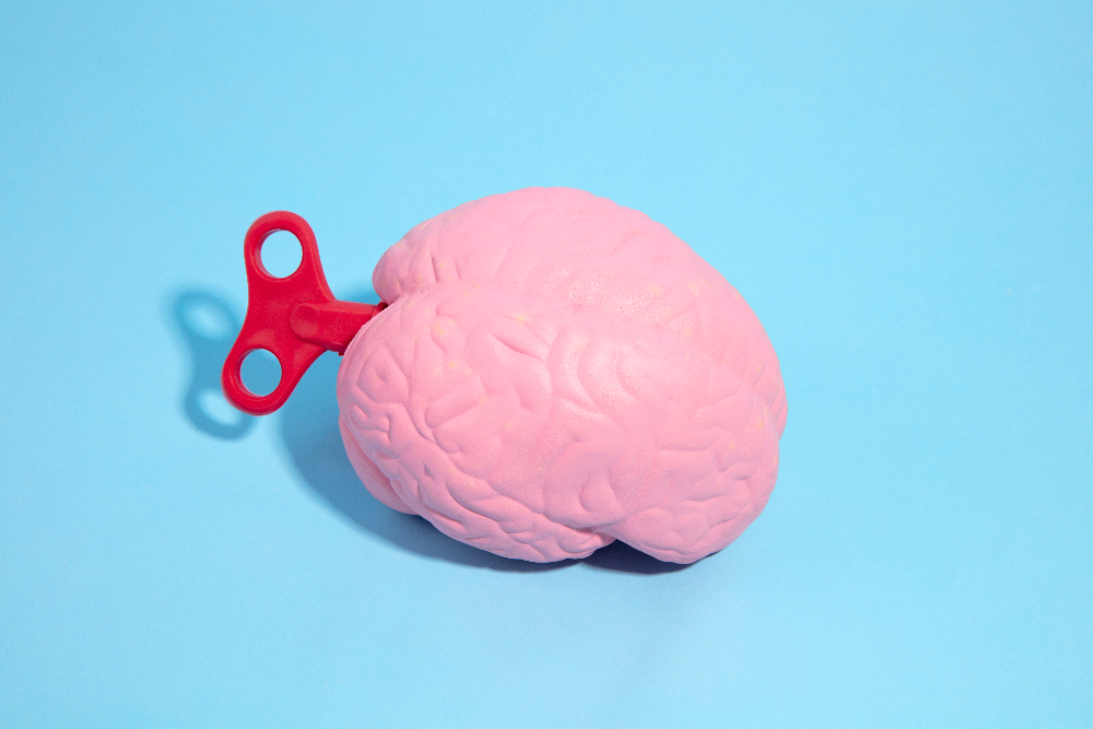 Habits sharpen brain header